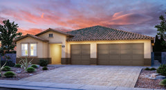 Napoleon Next Gen Plan