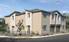 Sienna Plan 514