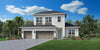 Fredrick Elite Transitional