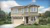 Balboa Plan 3626 Plan