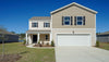 907 Snowberry Drive (ARDEN)