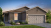 Desert Willow