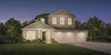 Delmore Elite Plan