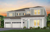Roseland Plan
